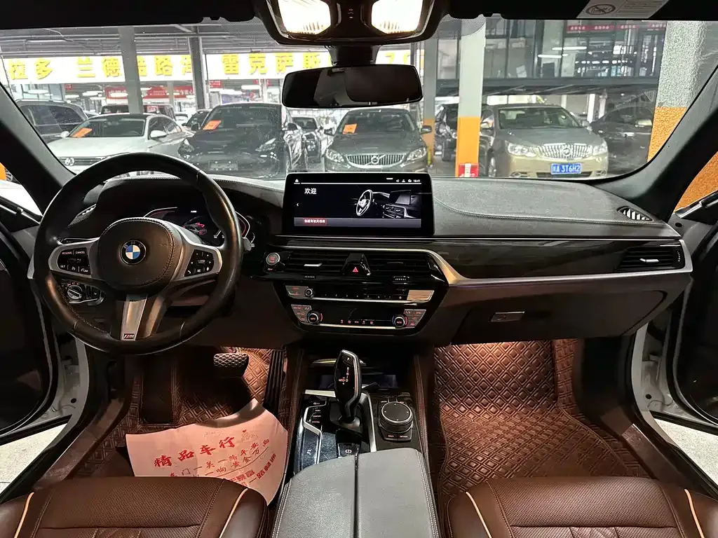 BMW 5 Series 2021 из CN, фото 6