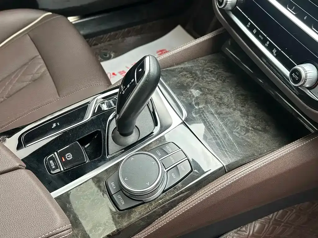 BMW 5 Series 2021 из CN, фото 7