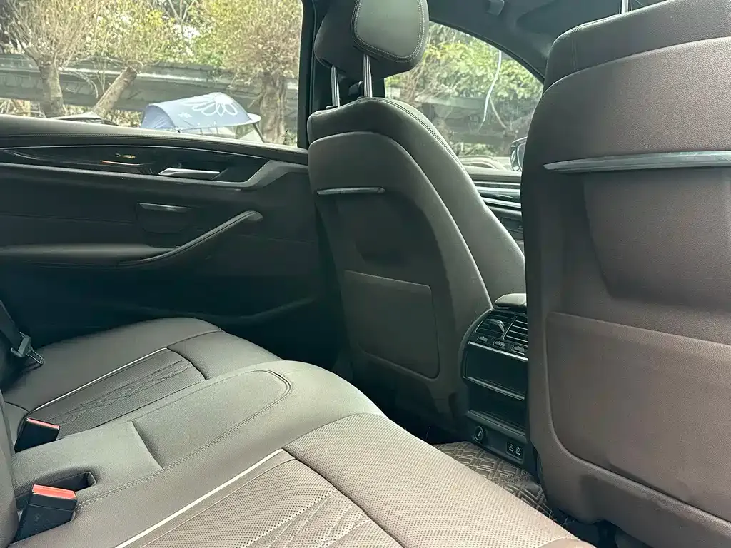 BMW 5 Series 2021 из CN, фото 5