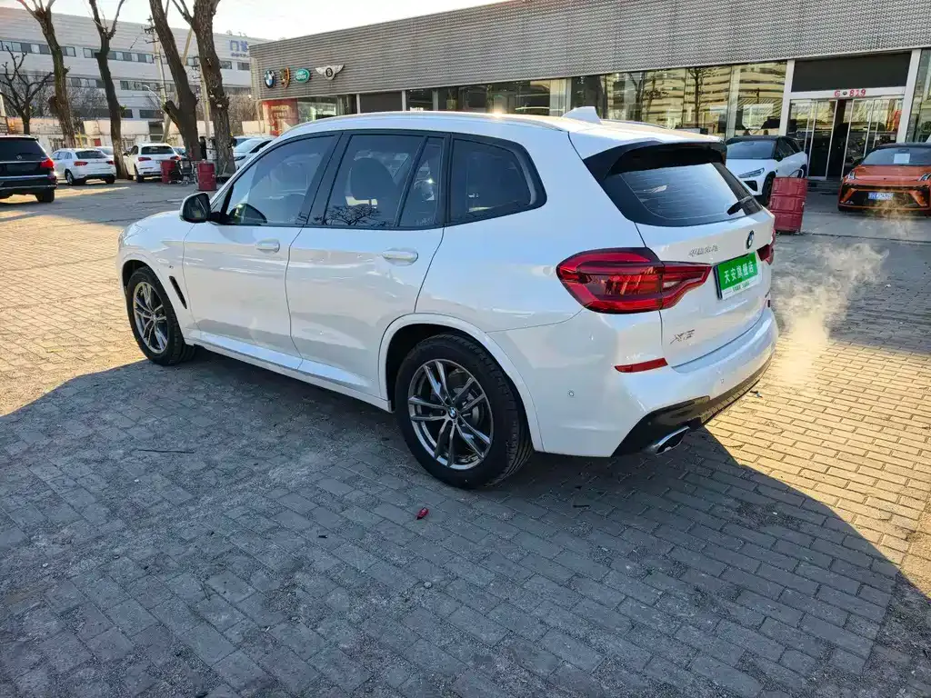 BMW X3 2021 из CN, фото 6
