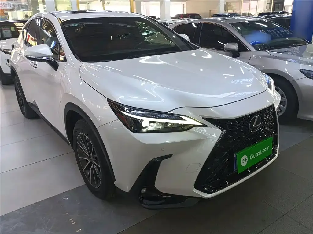 Lexus NX — фото 6