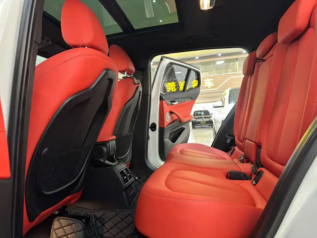 BMW X2 2021 из CN, фото 8