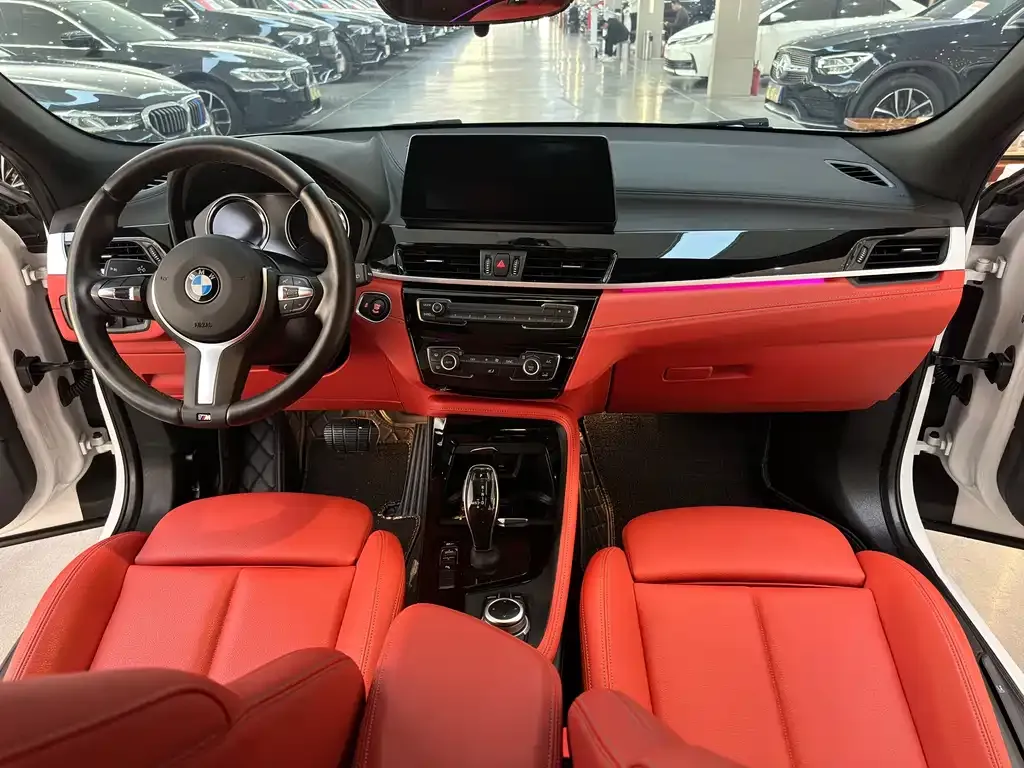 BMW X2 2021 из CN, фото 6