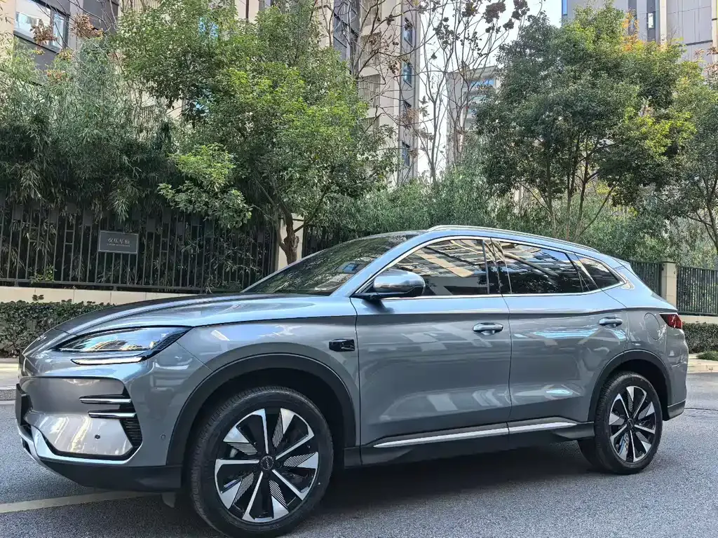 BYD PLUS New Energy — фото 1