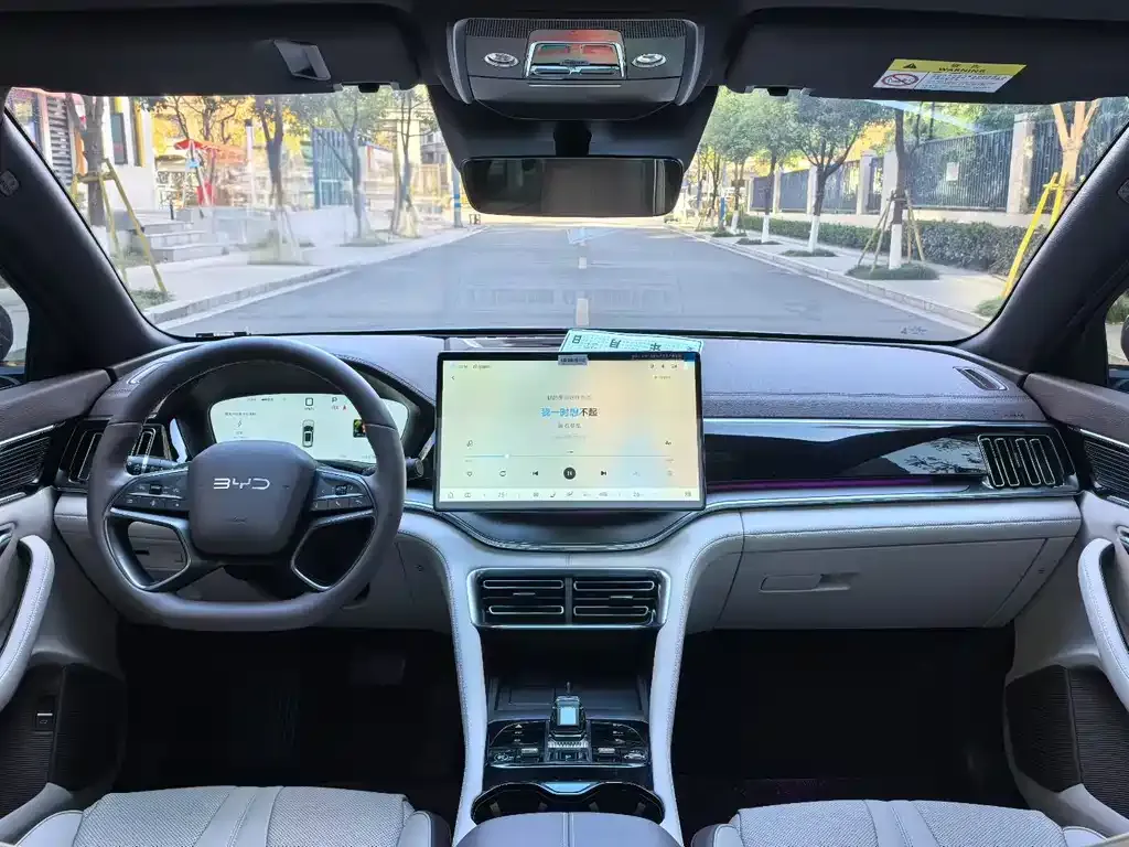 BYD PLUS New Energy — фото 3