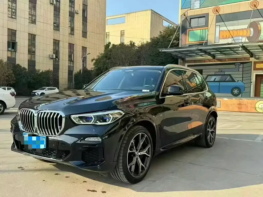 BMW X5 (Import) 2021 из CN, фото 1