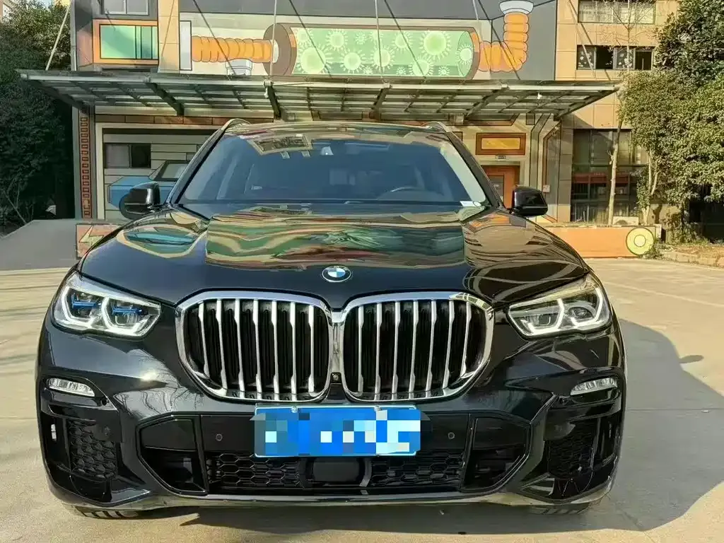BMW X5 (Import) 2021 из CN, фото 3