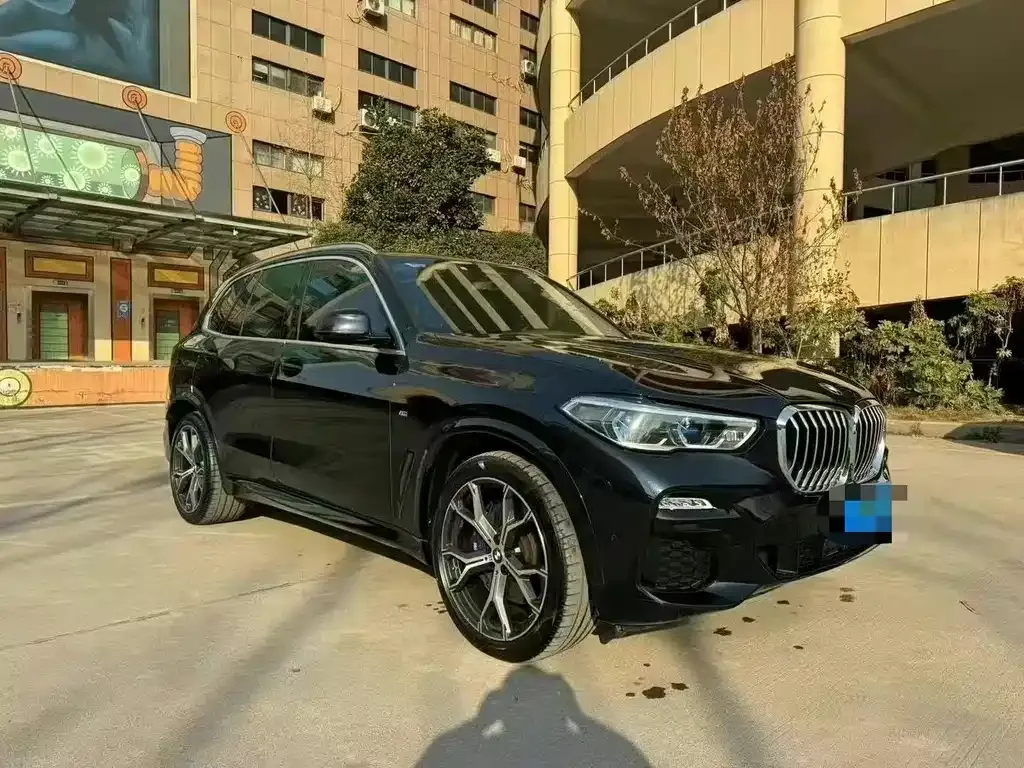 BMW X5 (Import) 2021 из CN, фото 7