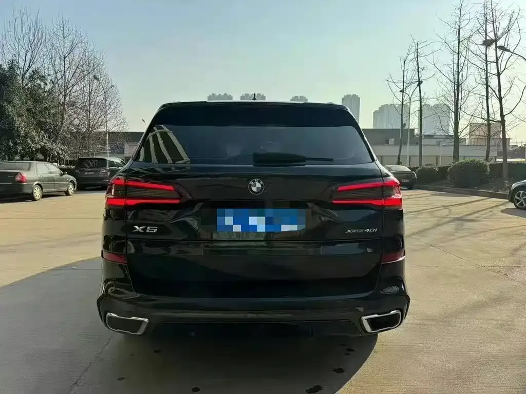 BMW X5 (Import) 2021 из CN, фото 5