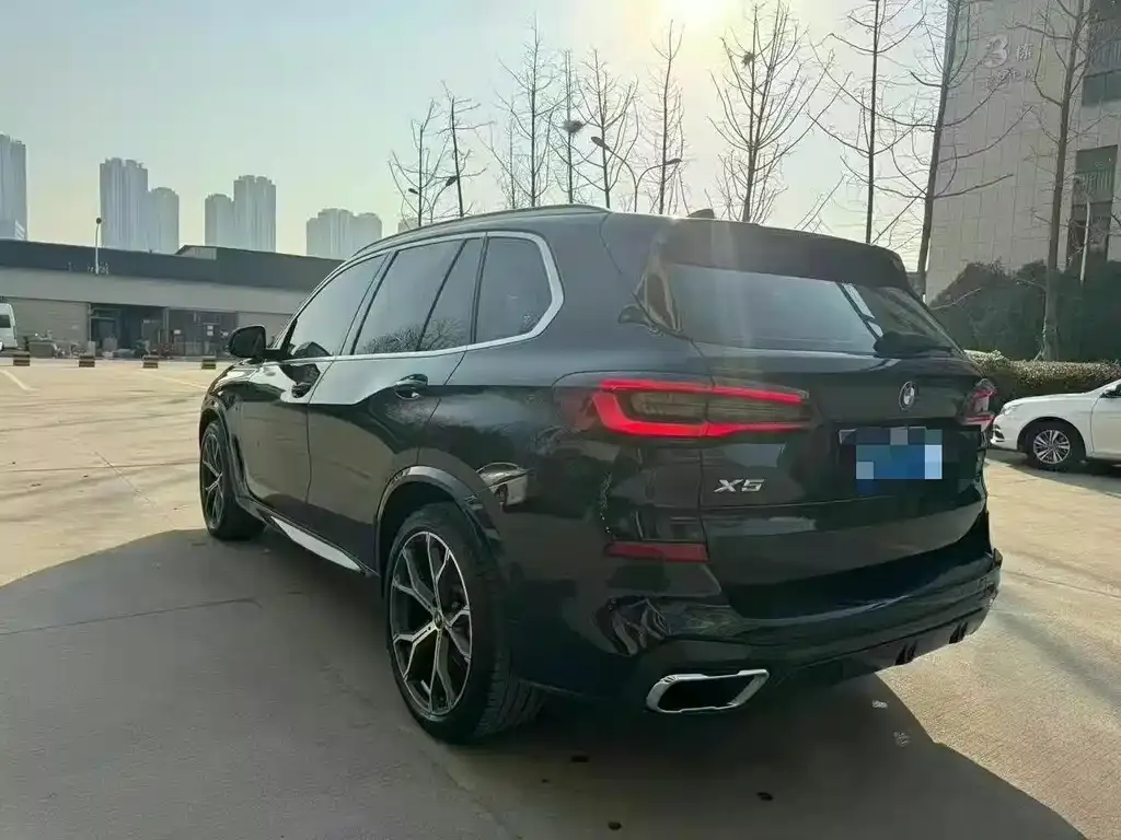 BMW X5 (Import) 2021 из CN, фото 9