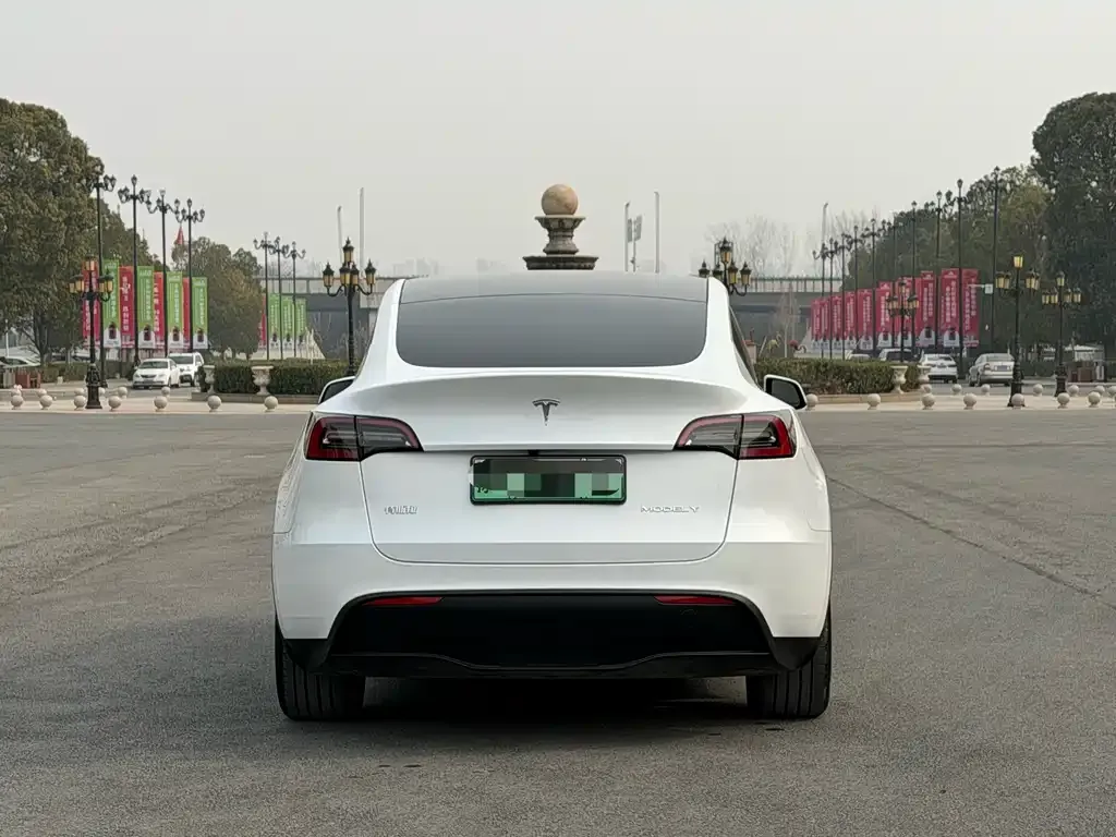 Tesla Model Y 2024 из CN, фото 8