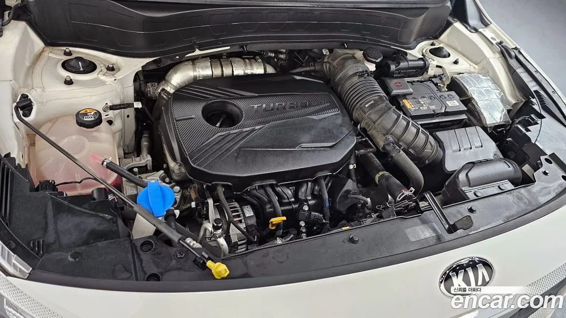 Kia Seltos 2022 из KR, фото 4