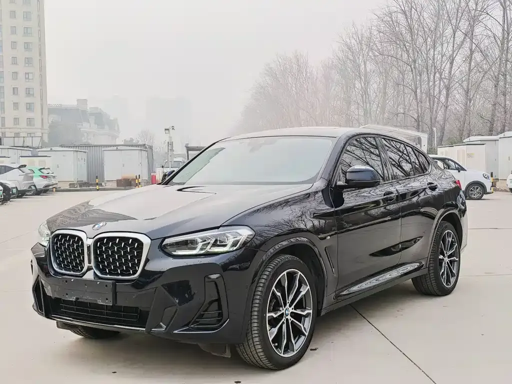 BMW X4 — фото 1