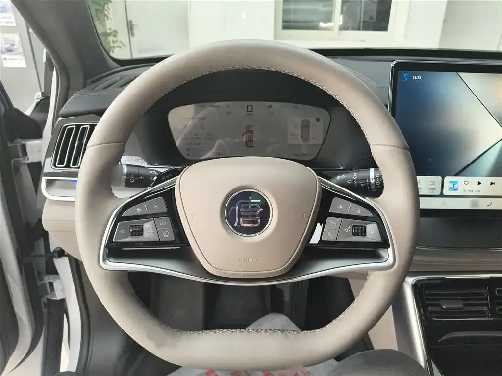 BYD Tang New Energy 2025 из CN, фото 10