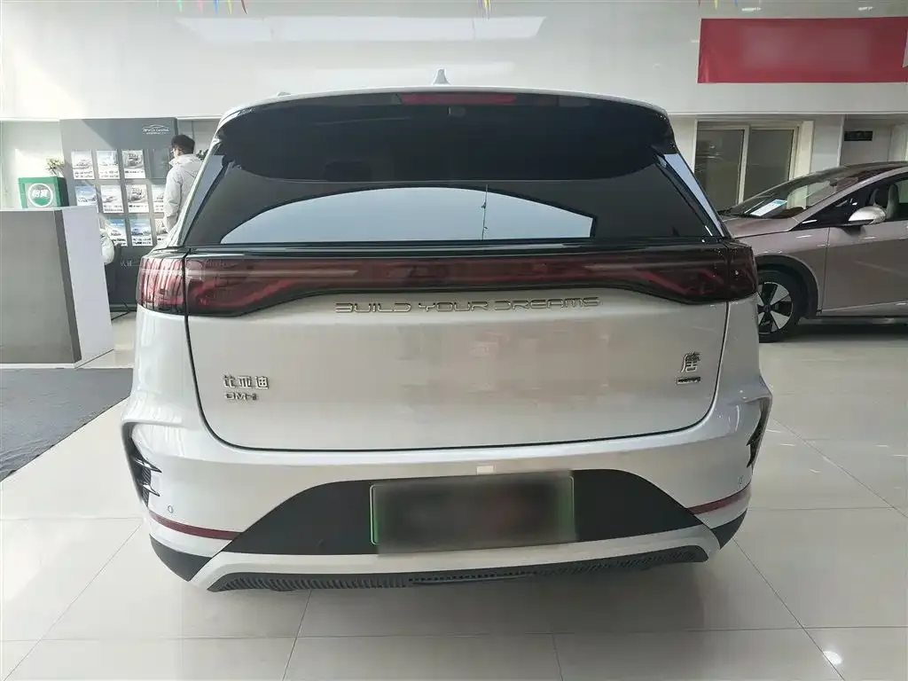 BYD Tang New Energy 2025 из CN, фото 6
