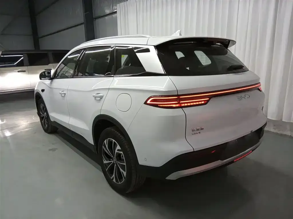 BYD Pro New Energy — фото 7