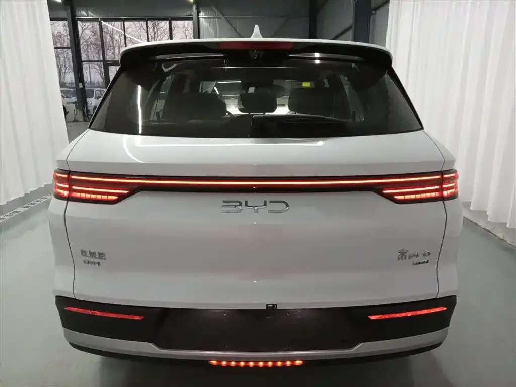 BYD Pro New Energy — фото 4