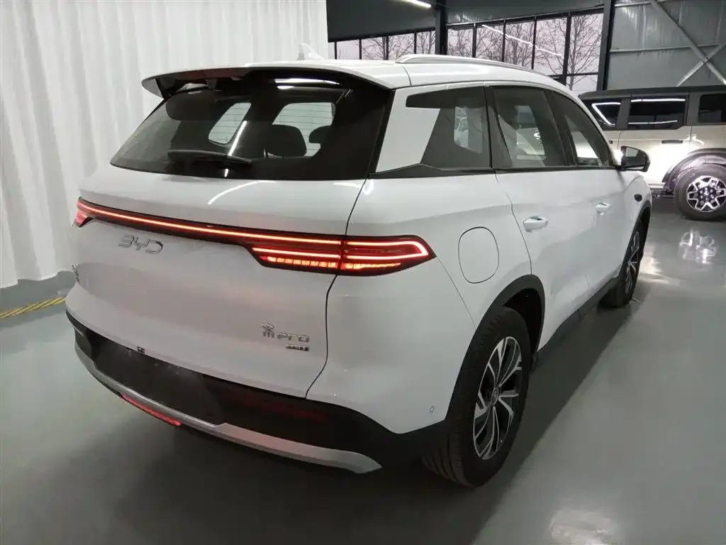 BYD Pro New Energy — фото 10