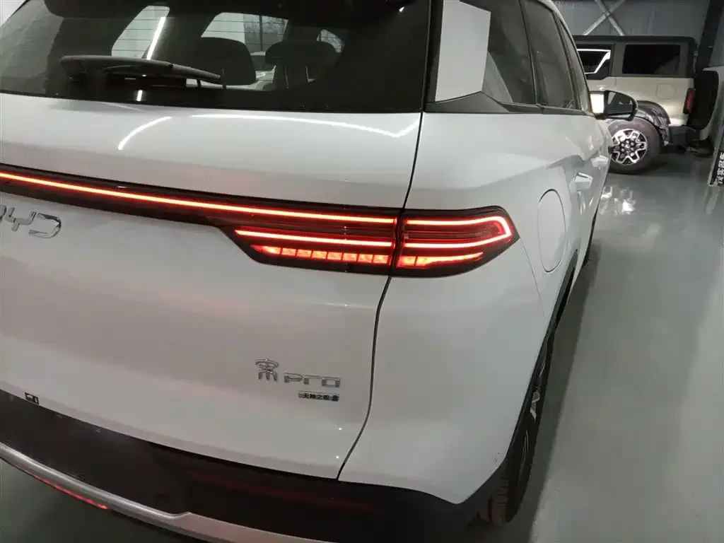 BYD Pro New Energy — фото 3