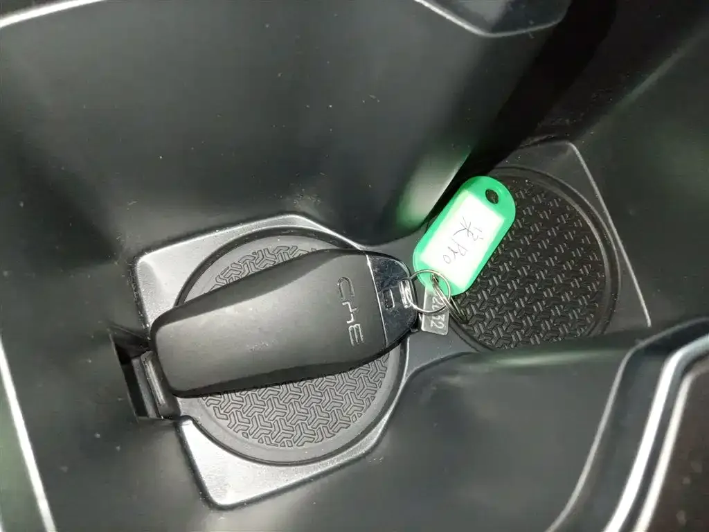BYD Pro New Energy — фото 9