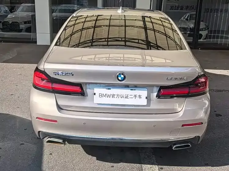 BMW 5 Series 2022 из CN, фото 6