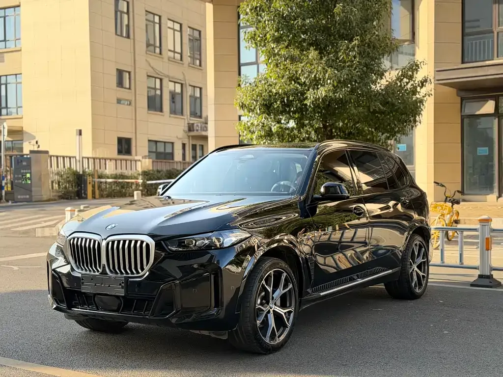 BMW X5 — фото 1