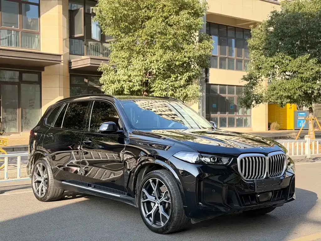 BMW X5 — фото 3