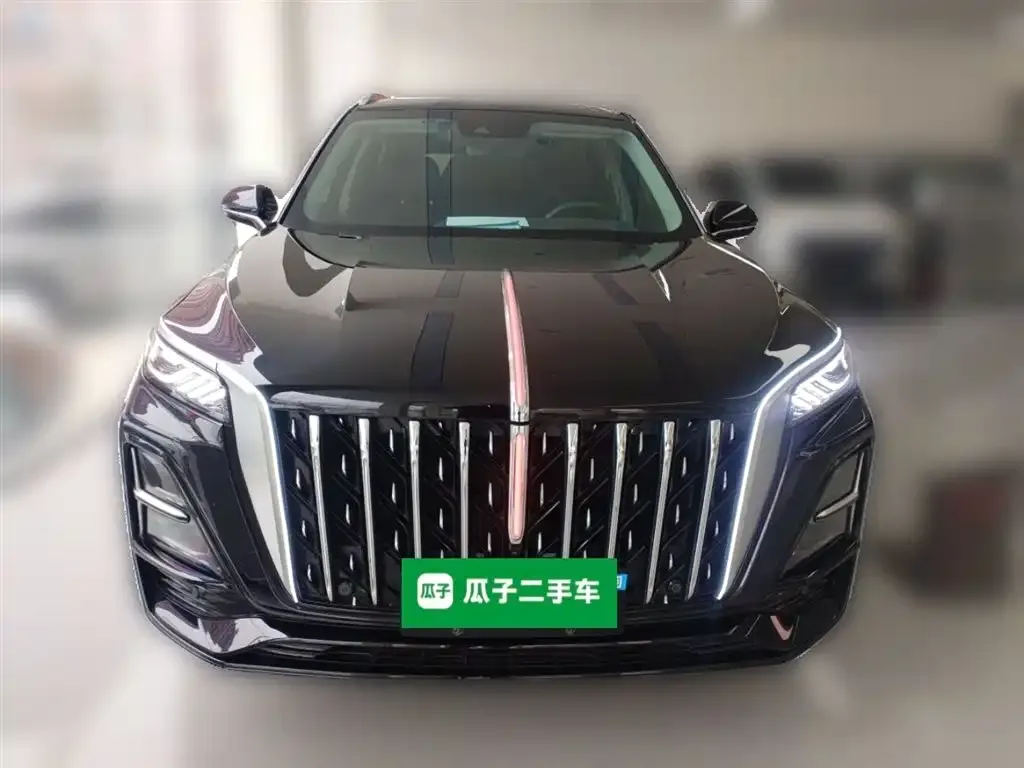 Hongqi HS5 2024 из CN, фото 3