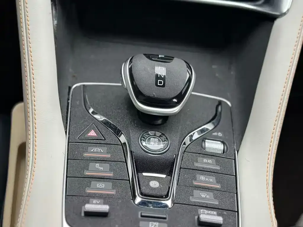 BYD PLUS New Energy 2022 из CN, фото 8