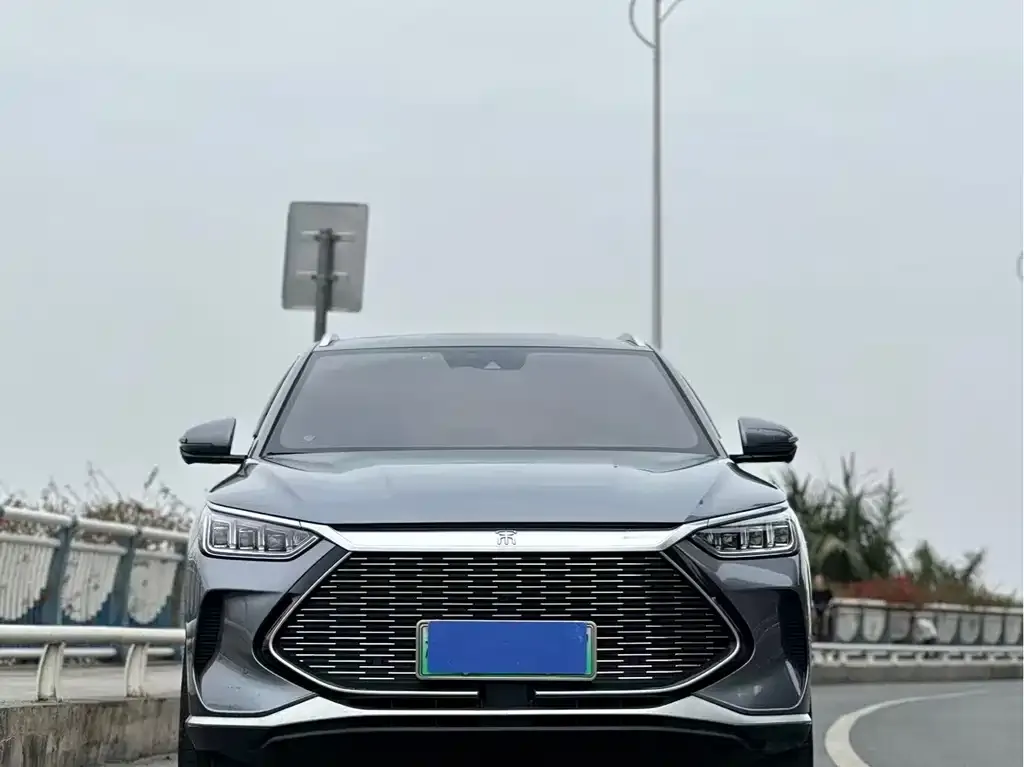 BYD PLUS New Energy 2022 из CN, фото 3