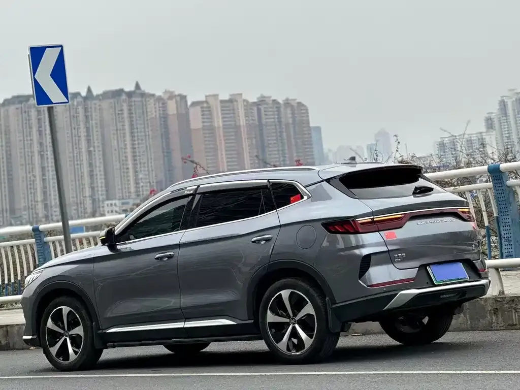 BYD PLUS New Energy 2022 из CN, фото 6