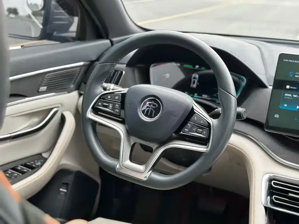 BYD PLUS New Energy 2022 из CN, фото 10