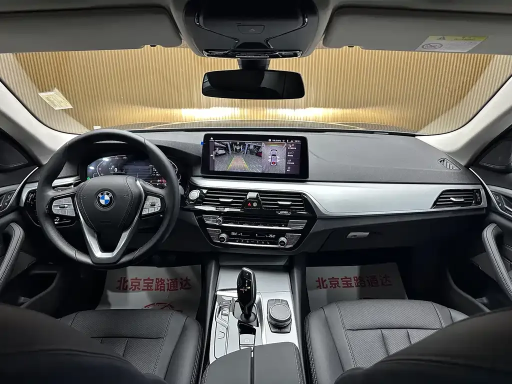 BMW 5 Series (Import) 2022 из CN, фото 9