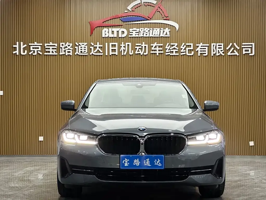 BMW 5 Series (Import) 2022 из CN, фото 10