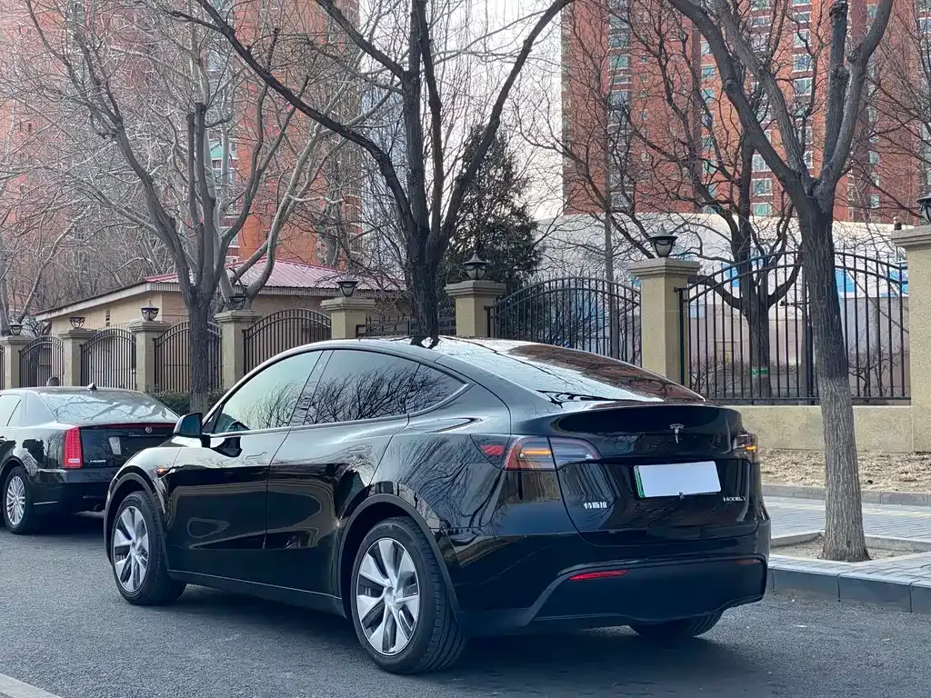 Tesla Model Y — фото 9