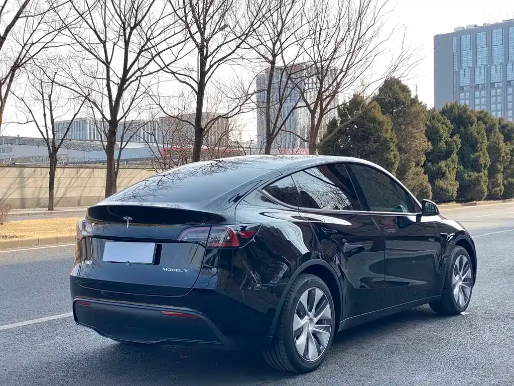 Tesla Model Y — фото 10