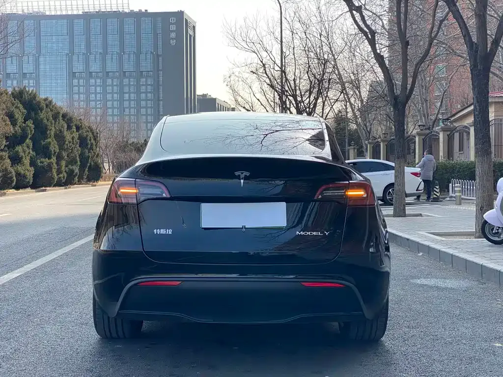 Tesla Model Y — фото 4