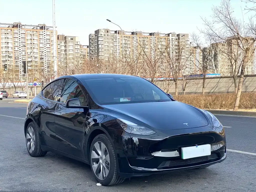Tesla Model Y — фото 5
