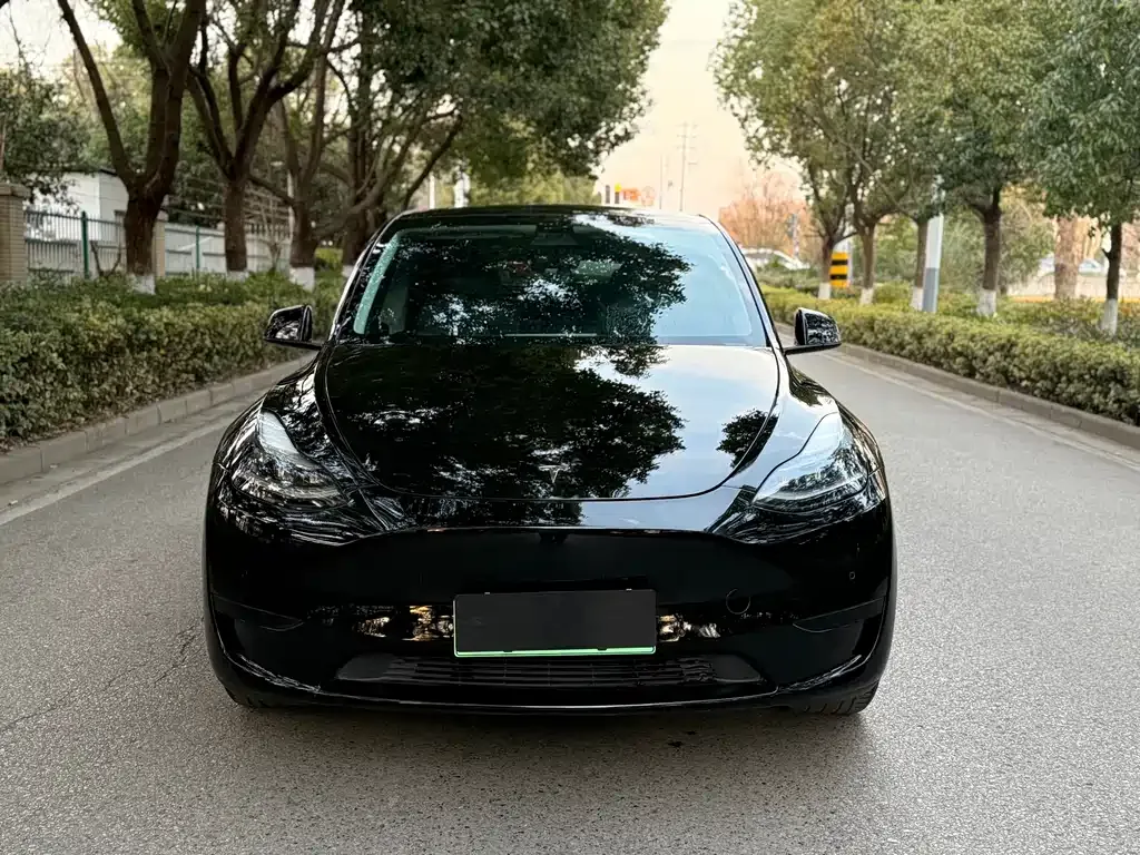 Tesla Model Y — фото 7