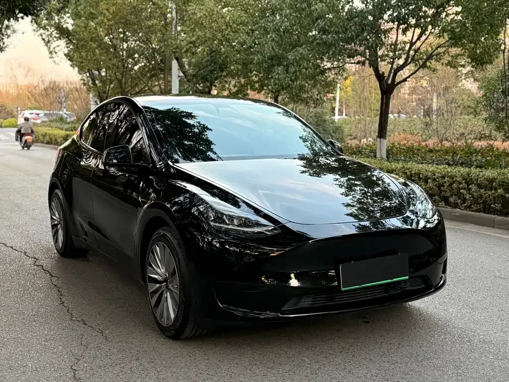 Tesla Model Y — фото 5
