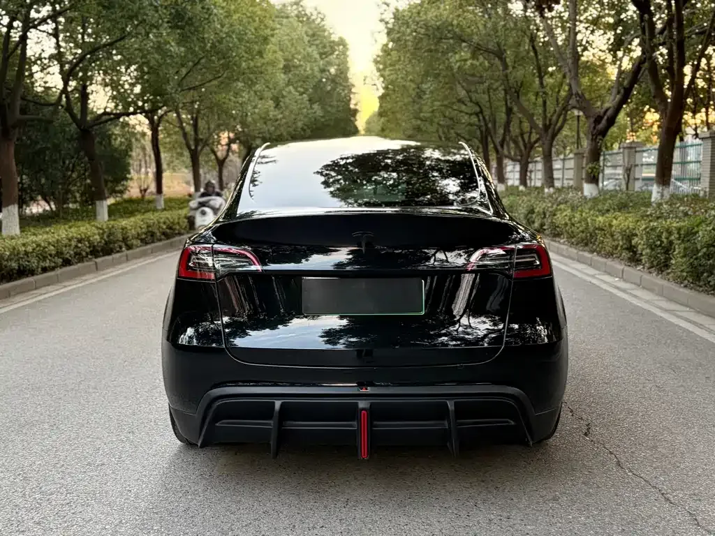 Tesla Model Y — фото 2