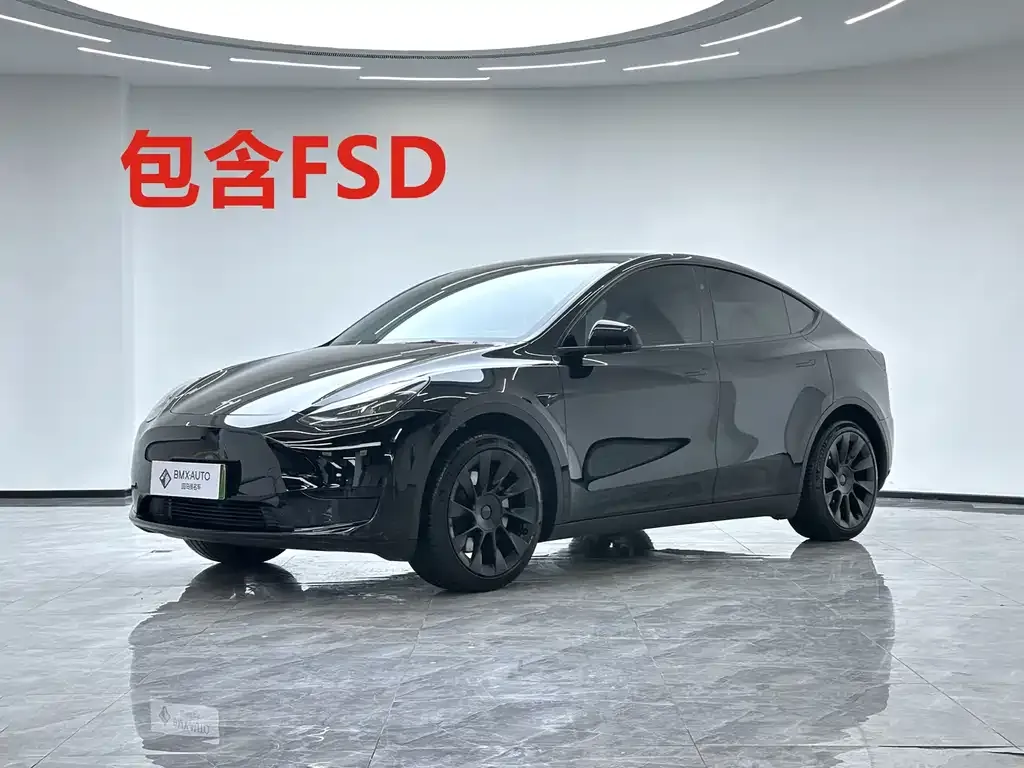 Tesla Model Y 2025 из CN, фото 1