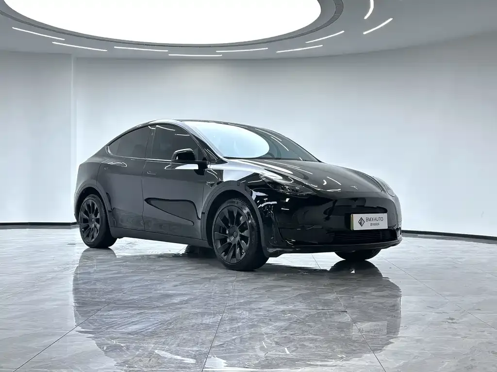 Tesla Model Y 2025 из CN, фото 8