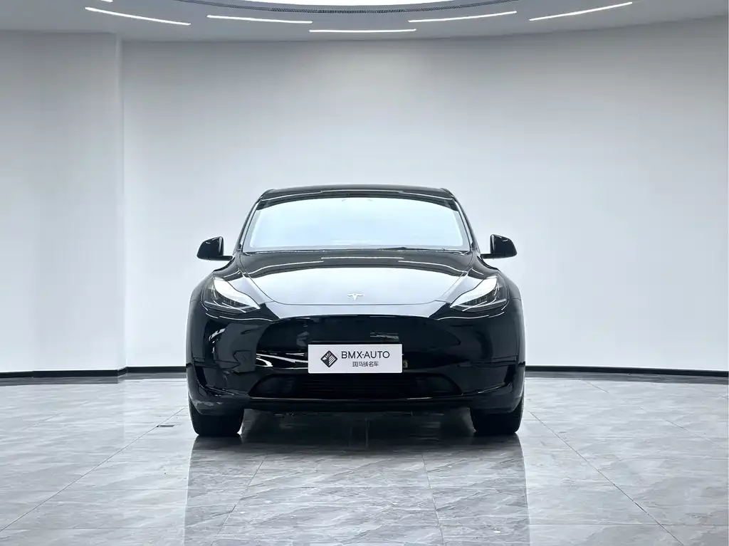 Tesla Model Y 2025 из CN, фото 2