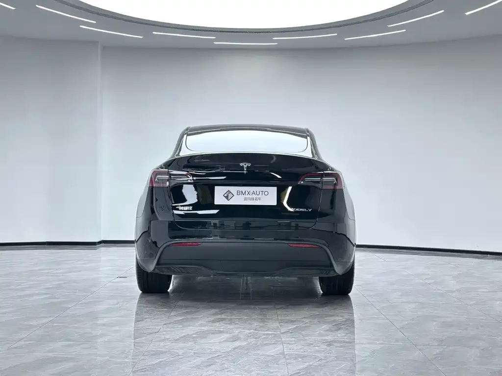 Tesla Model Y 2025 из CN, фото 5