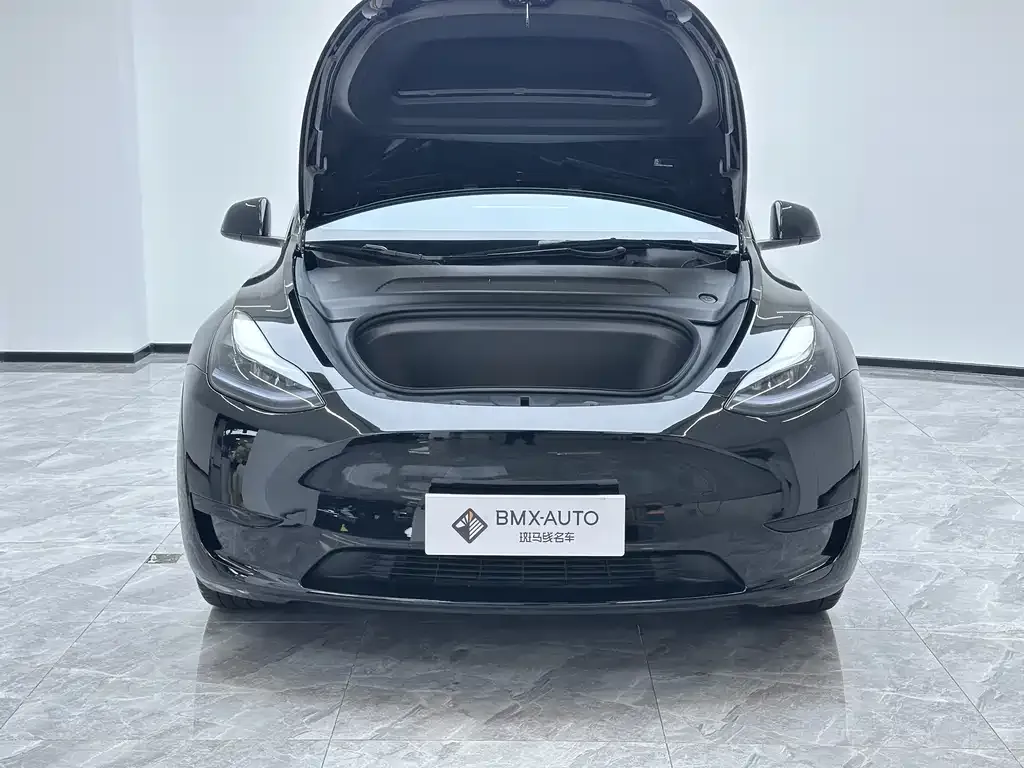 Tesla Model Y 2025 из CN, фото 6