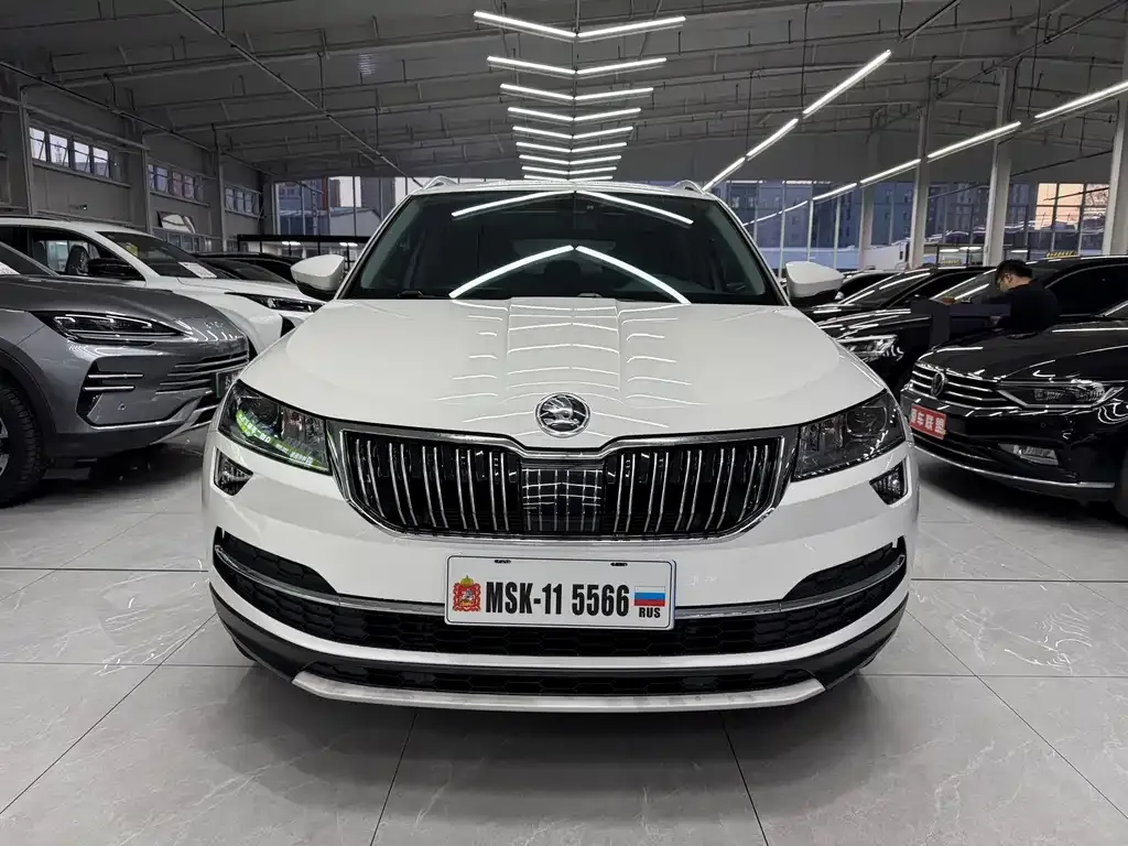 Skoda Karoq 2021 из CN, фото 7