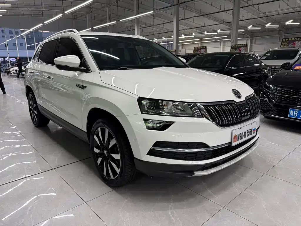 Skoda Karoq 2021 из CN, фото 10