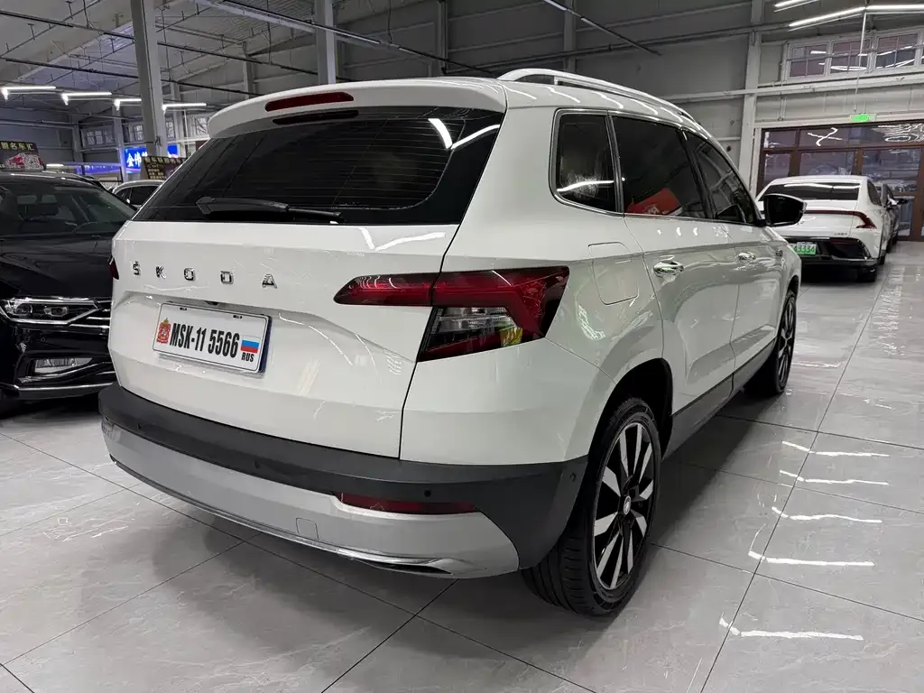 Skoda Karoq 2021 из CN, фото 3