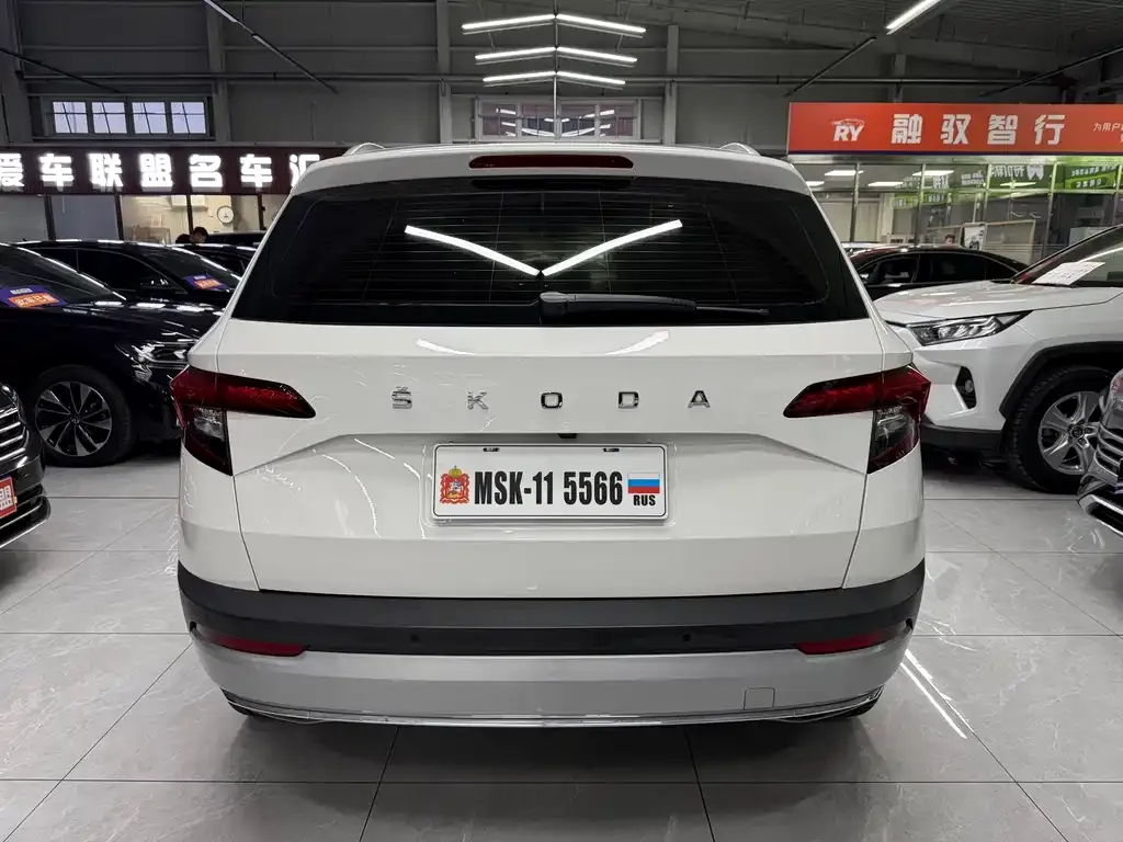 Skoda Karoq 2021 из CN, фото 9